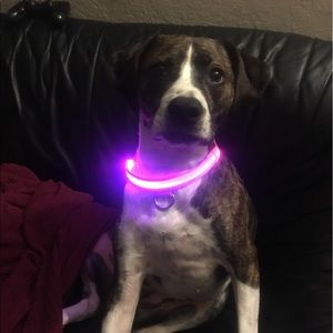 Meet your Posher, Desiree