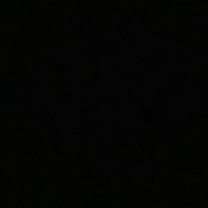 Meet your Posher, Whitney