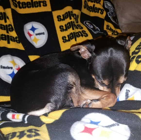 I'm a Posh Ambassador🎊🎉🎀😊😄 - Picture 2 of 8