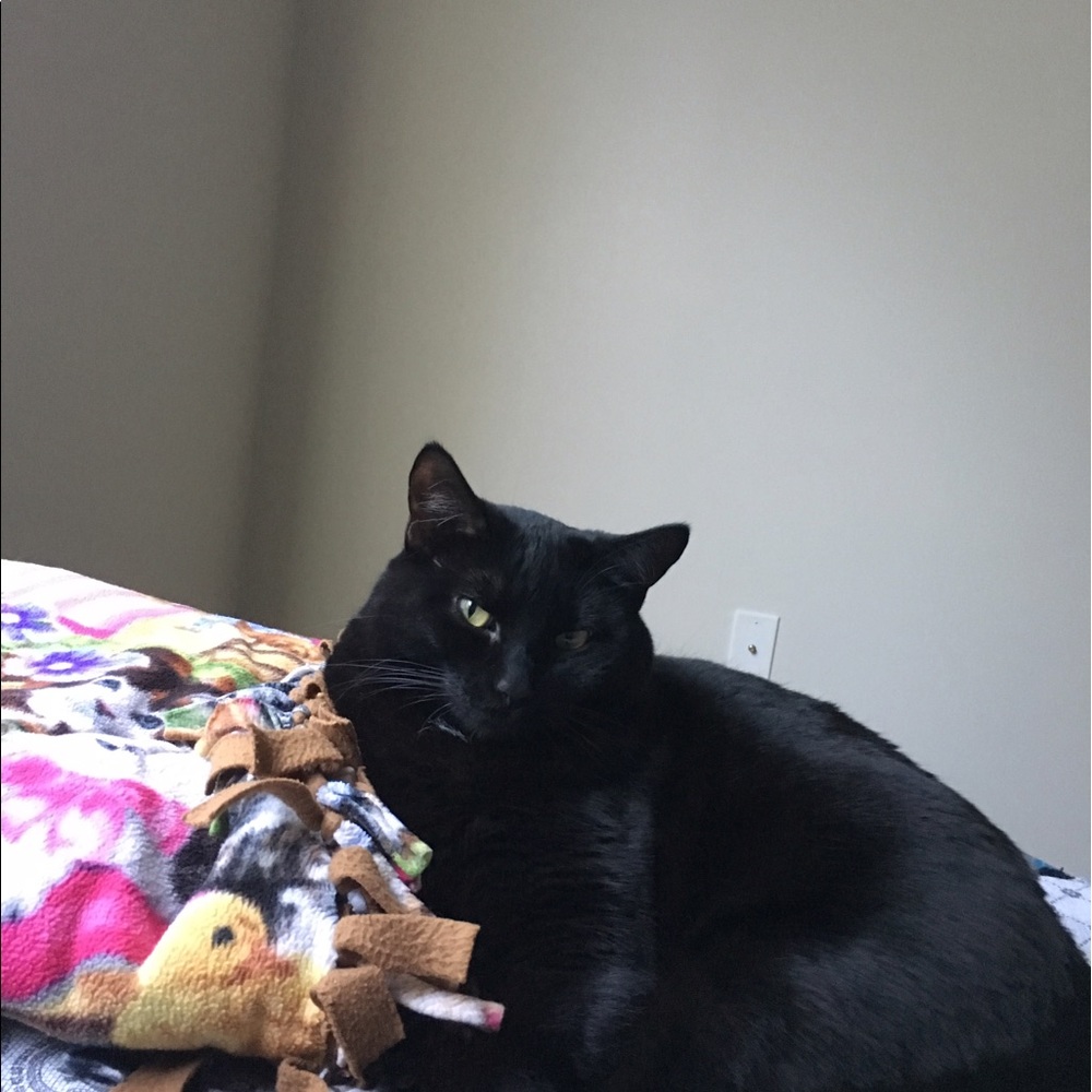 Meet your Posher, Jen