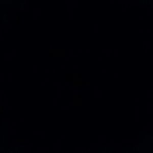 Meet your Posher, Bryann