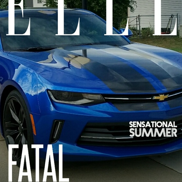 Meet your Posher, Cat!๐ - Picture 3 of 3