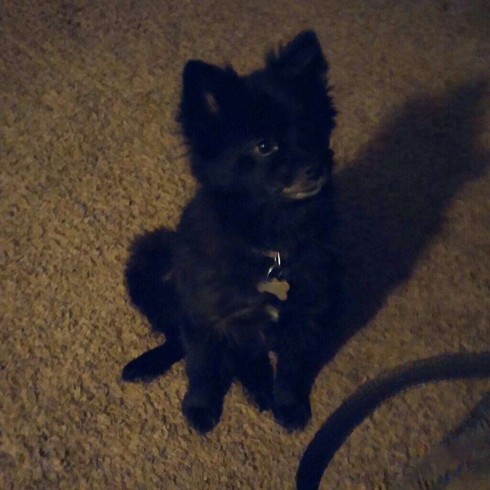 Meet your Posher, Liz