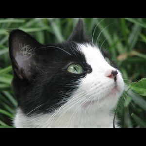 Meet your Posher, Patty