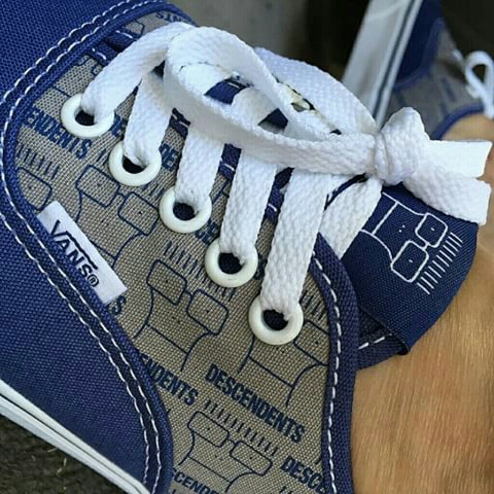 **ISO** Vans x The Descendents Authentic