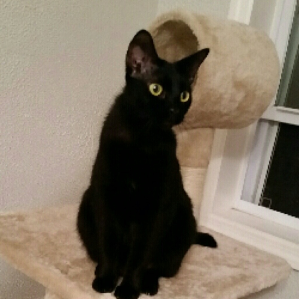 Meet your Posher, Julie