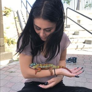 Meet your Posher, Sophie