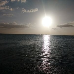 Meet your Posher, Necia