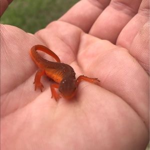 Meet your Posher, Zach