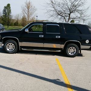 Meet your Posher, Elvis chris