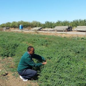 Meet your Posher, Sultan mohammed