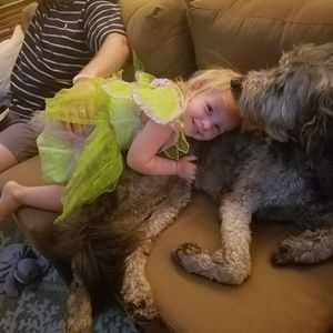 Meet your Posher, Darby