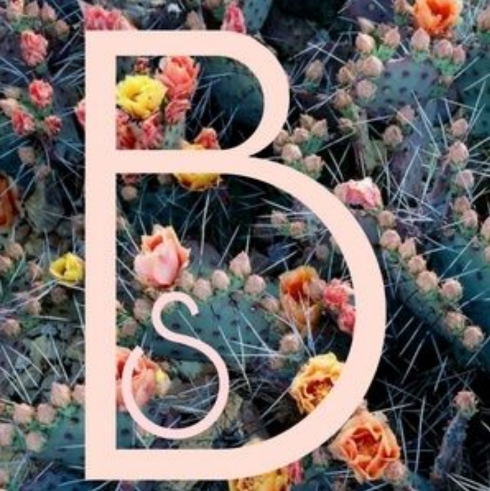 Meet your Posher, Brandy