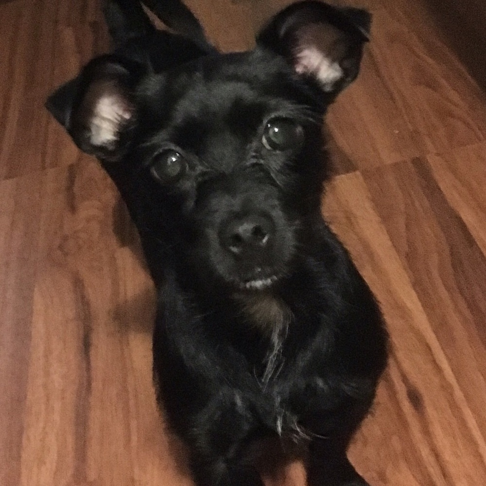 Meet your Posher, Sheena