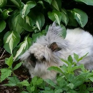 Meet your Posher, Kay