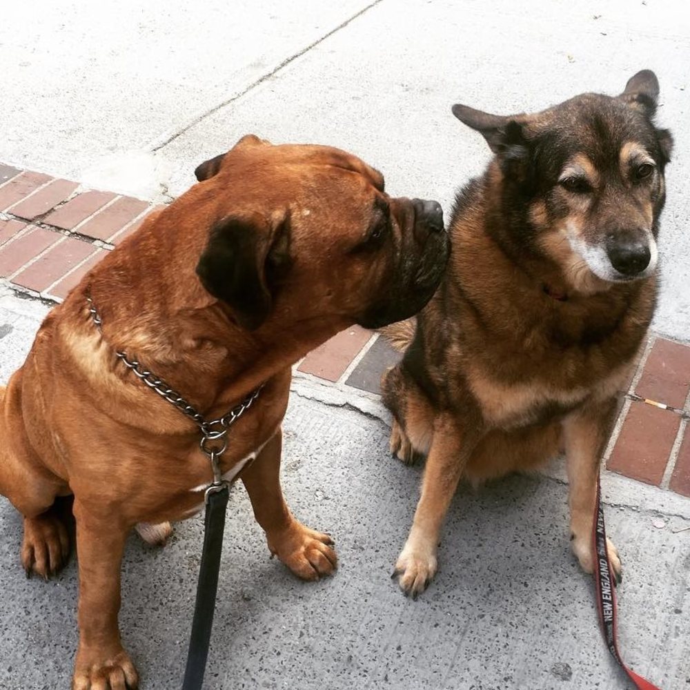 Meet your Posher, Stephen