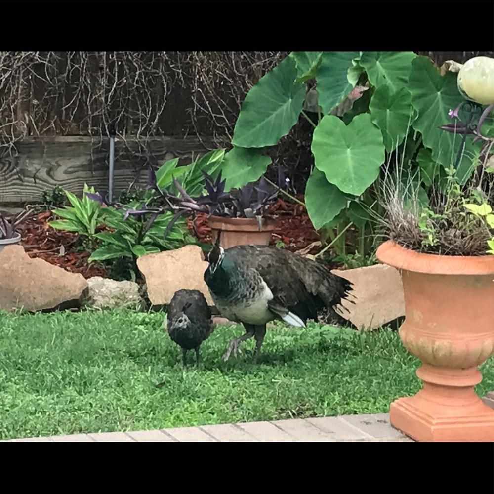 🌷Closet on SALE❗️All Must Go🌷