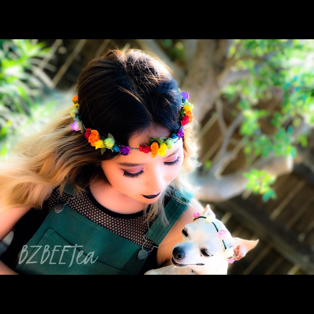 🌈🌈 pride  floral crown 👑