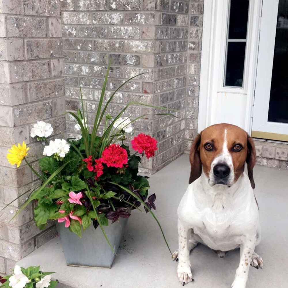 Meet your Posher, Haylee