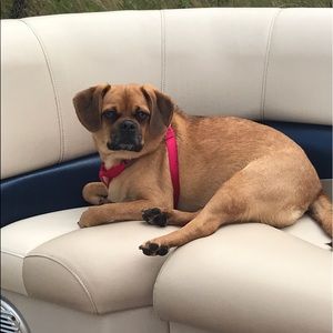 Meet your Posher, Jennifer