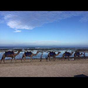 Meet your Posher, Henry