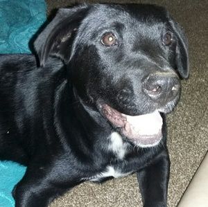 Meet your Posher, Karla