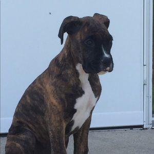 Meet your Posher, Krista