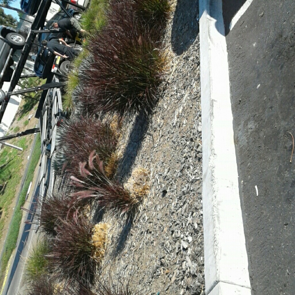 Meet your Posher, Marita