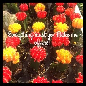 Everything must go!! Please make me any offers!