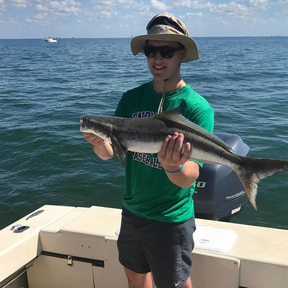 Meet your Posher, Kevin - Picture 1 of 1