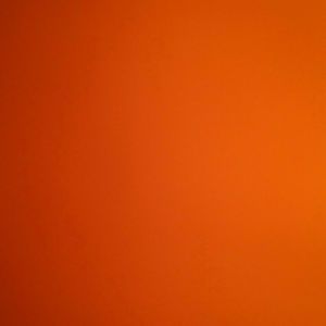 Meet your Posher, Shayla