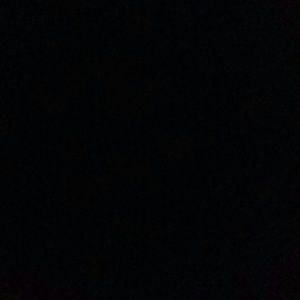 Meet your Posher, Troy