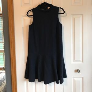 LOFT Drop Waist Dress
