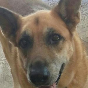 Meet your Posher, Melanie