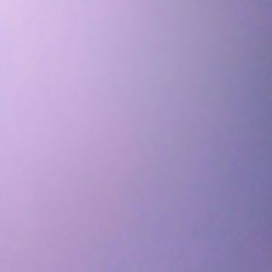 Meet your Posher, Trevor