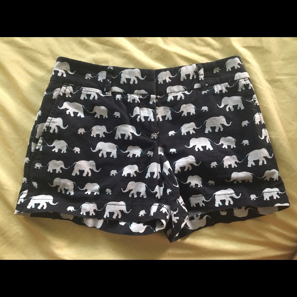 Ann Taylor LOFT Rivera Shorts
