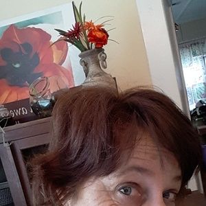 Meet your Posher, Donna