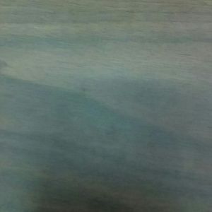 Meet your Posher, Karri