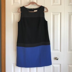 LOFT Colorblock Dress