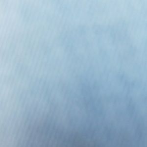 Meet your Posher, Alicia