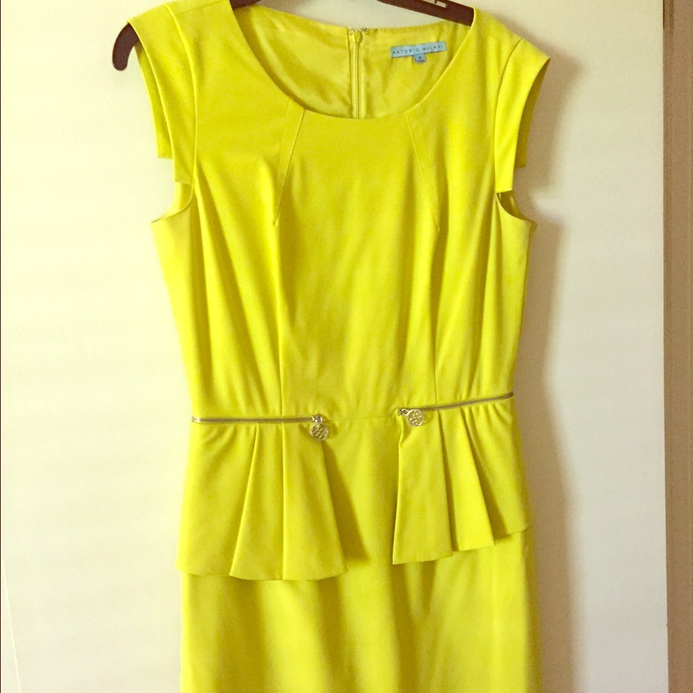 Antonio Melani Sheath size 8