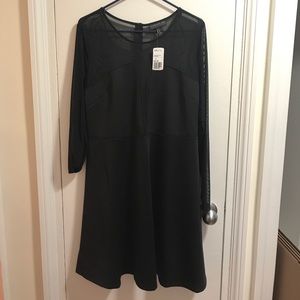 Little Black Dress with Mesh Insert