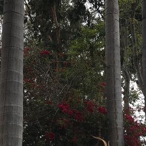 Meet your Posher, Sydney