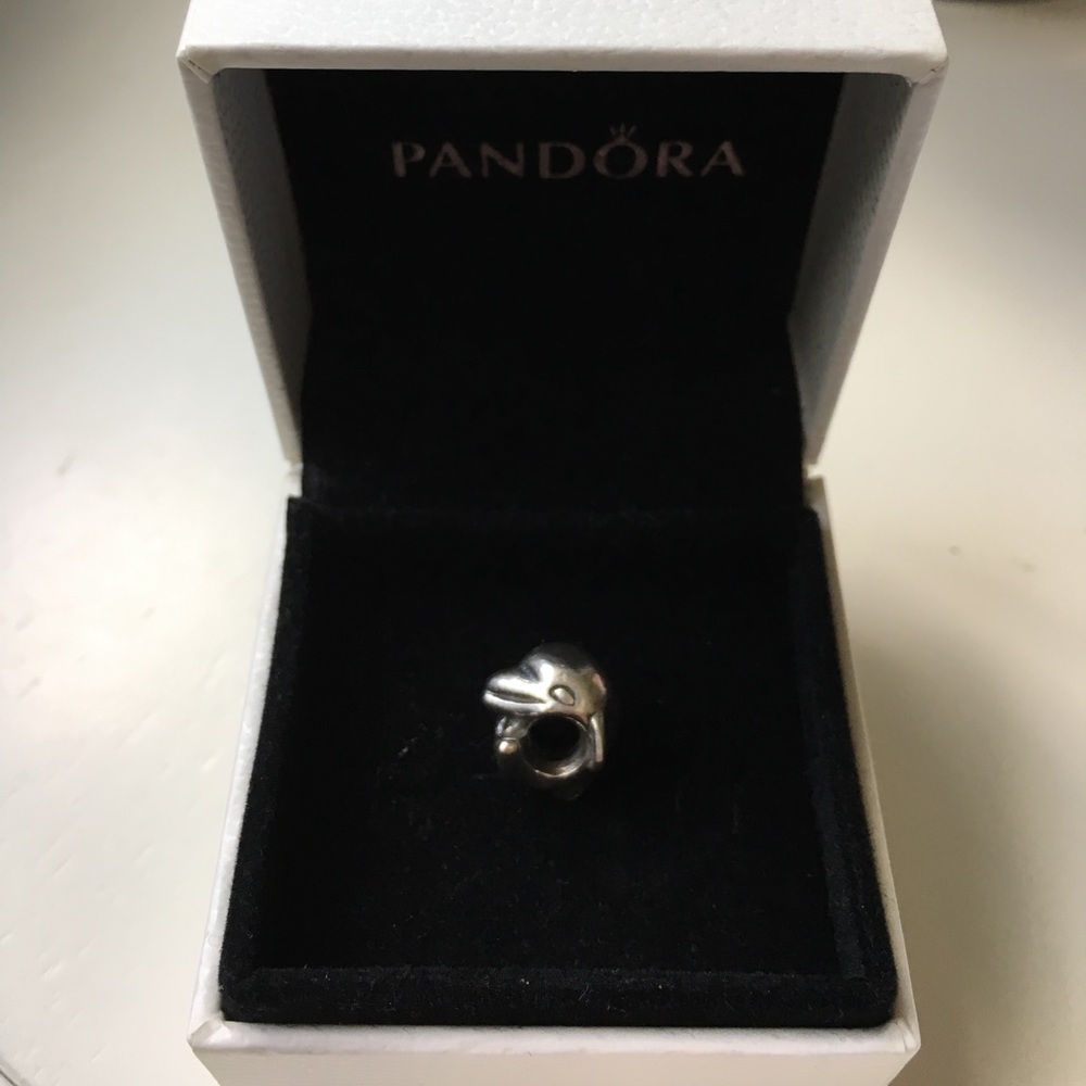 Dolphin pandora charm