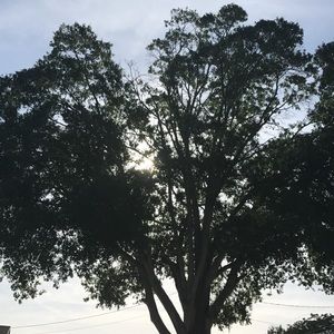 Meet your Posher, Dee