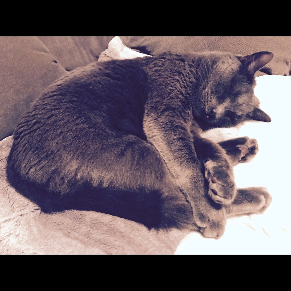 Meet your Posher, Jennifer