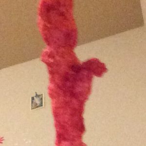 Meet your Posher, Angel