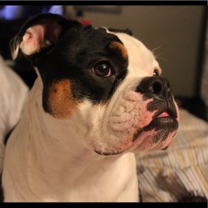 Meet your Posher, Tyler