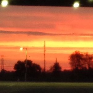 Meet your Posher, Tara