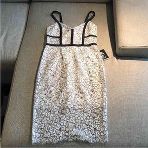 💔SOLD💔Express Contrast Piped Lace sheath dress
